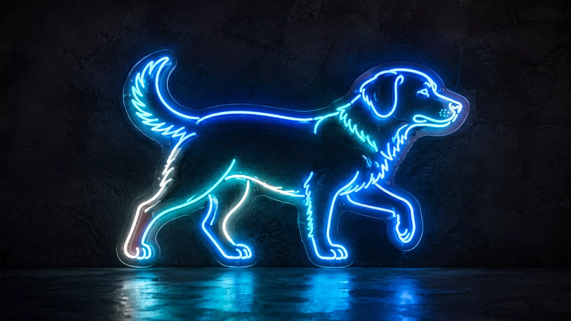 Dog Neon Signs