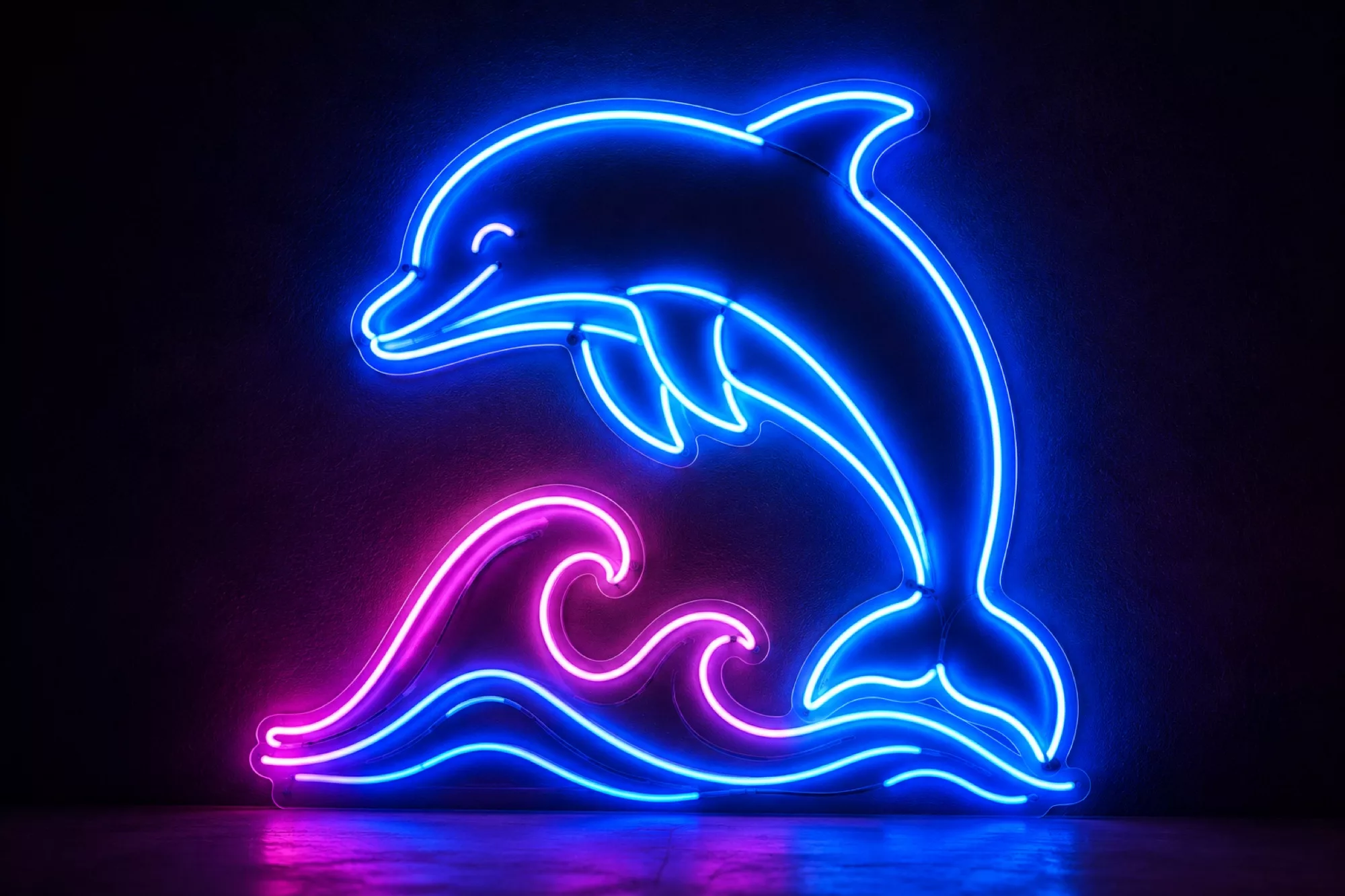 Dolphin Neon Signs