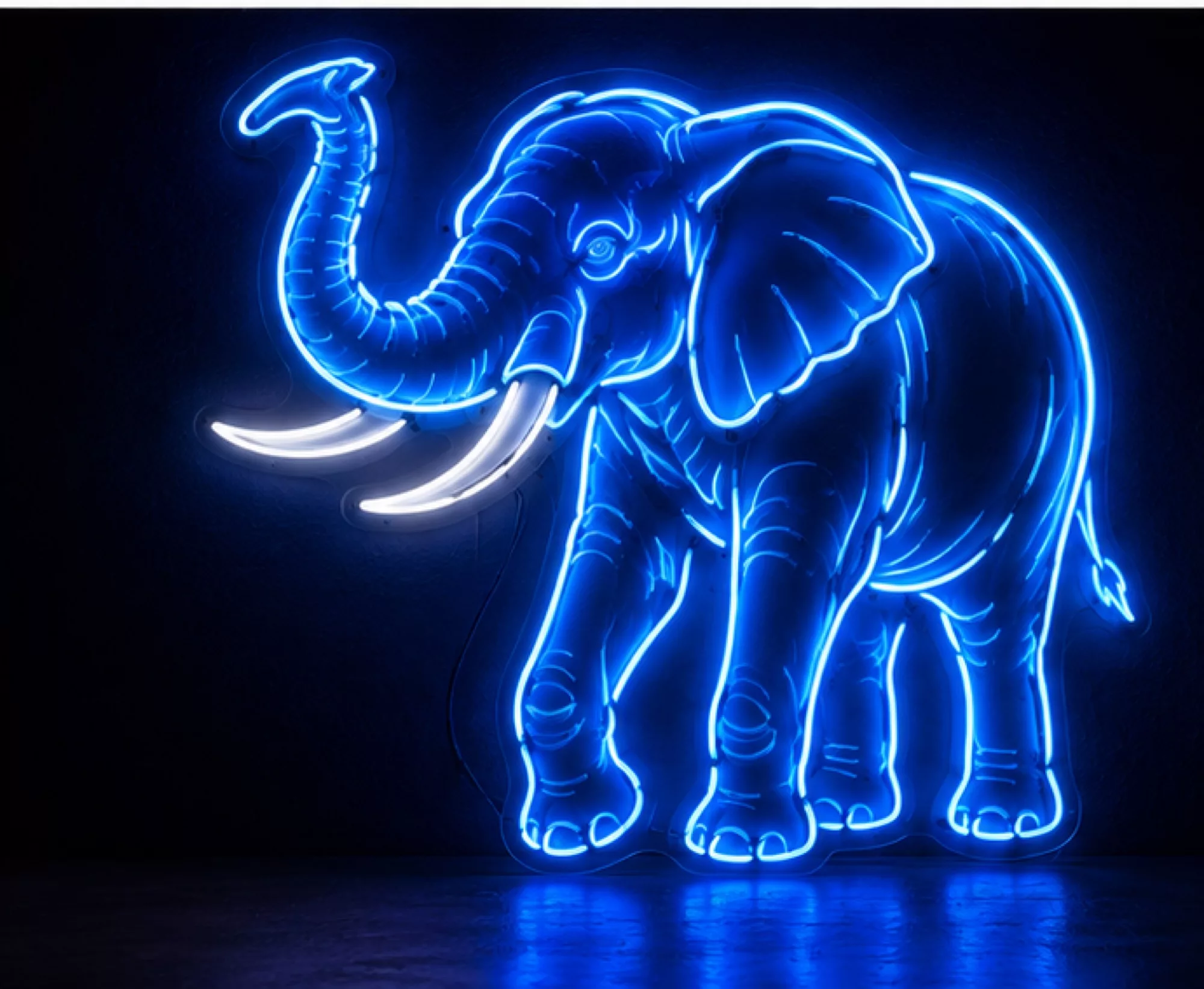 Elephant Neon Signs