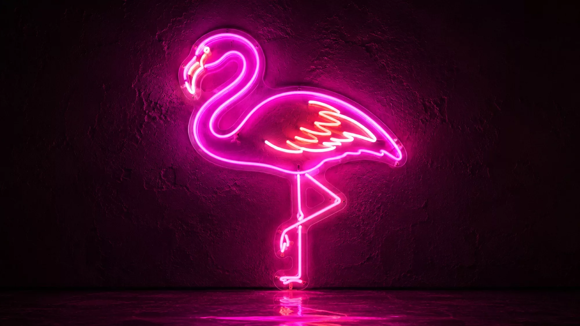 Flamingo Neon Signs