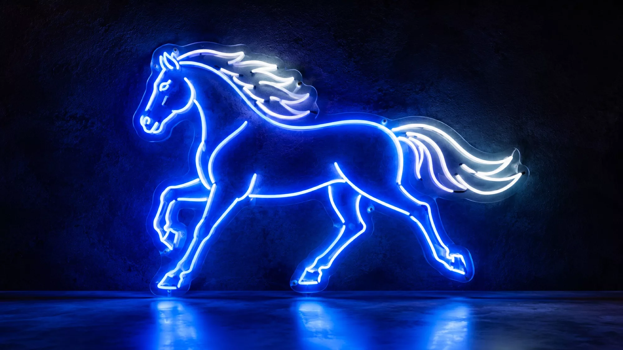 Horse Neon Signs