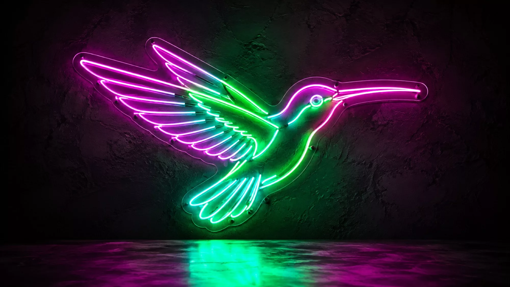 Hummingbird Neon Signs