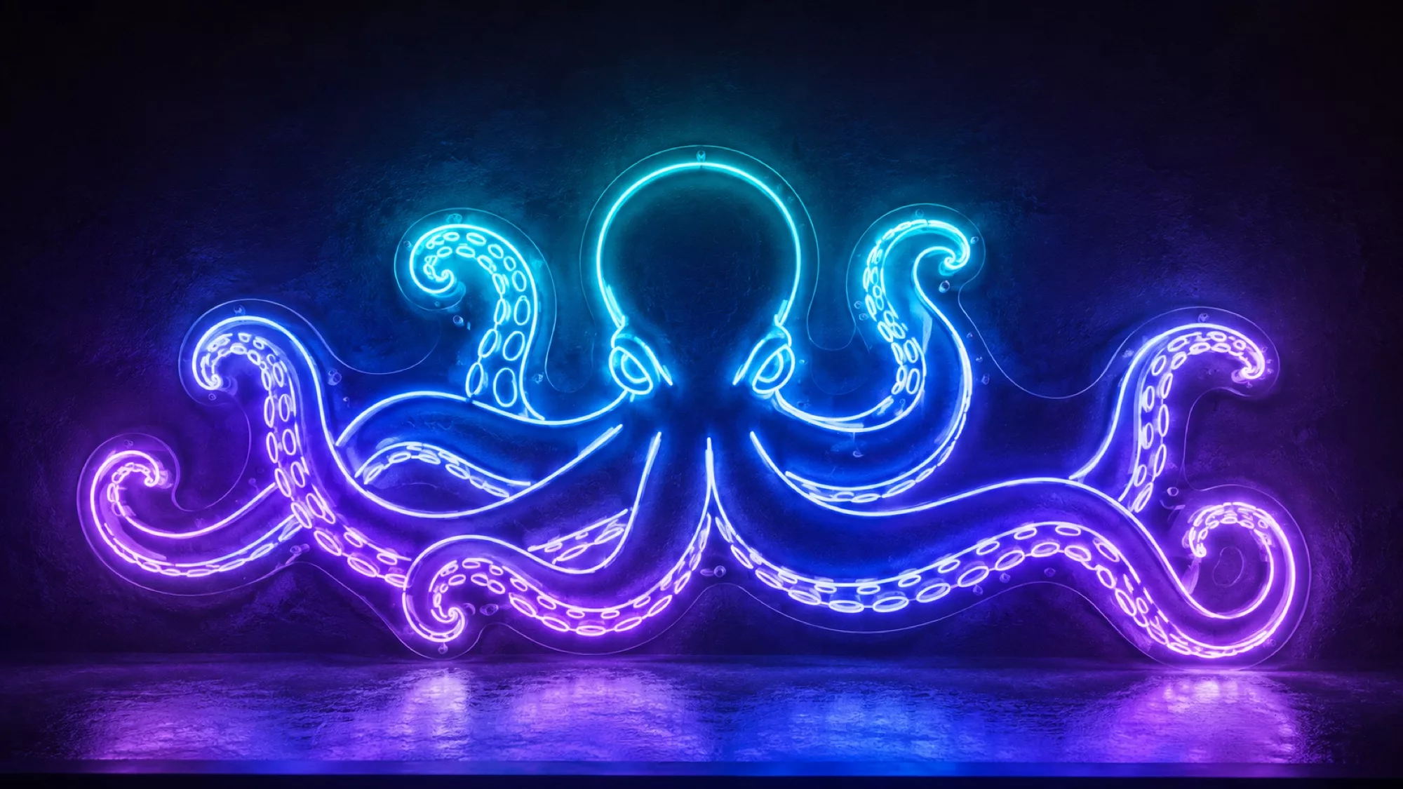 Octopus Neon Signs