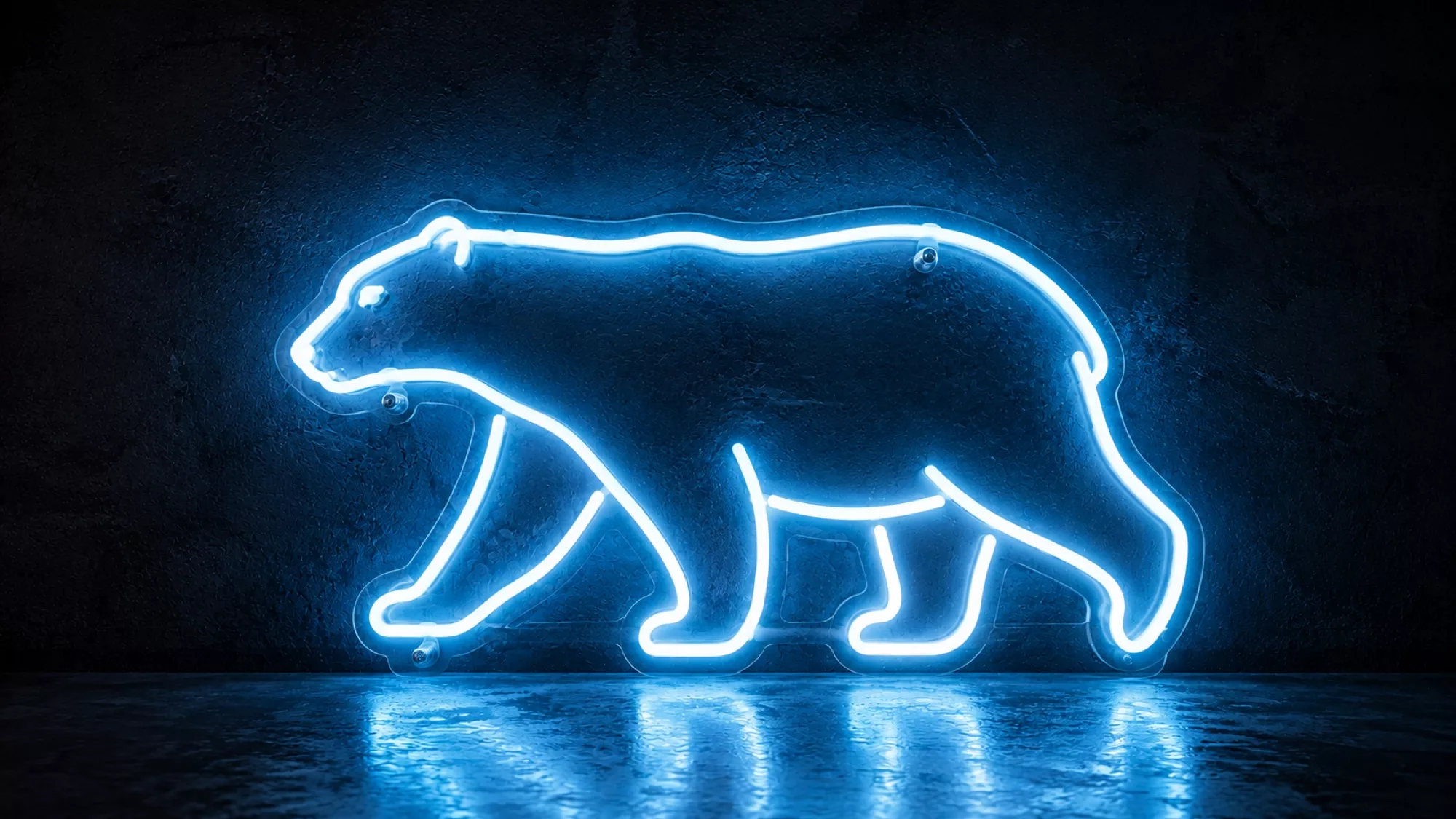 Polar Bear Neon Signs