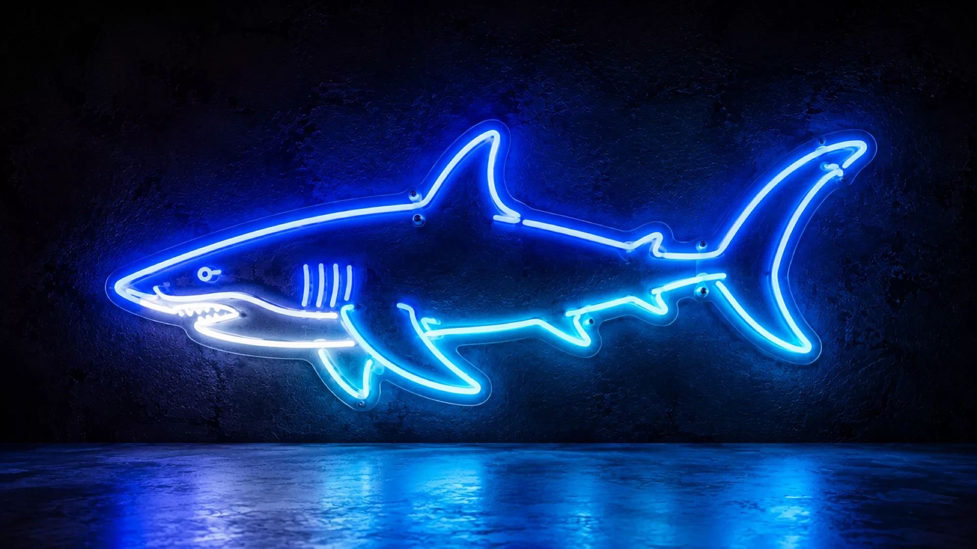 Shark Neon Signs